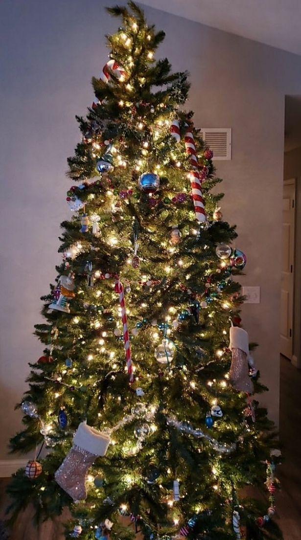 Bradul de Crăciun viral. Ce a găsit o femeie în el, după ce l-a împodobit 568916