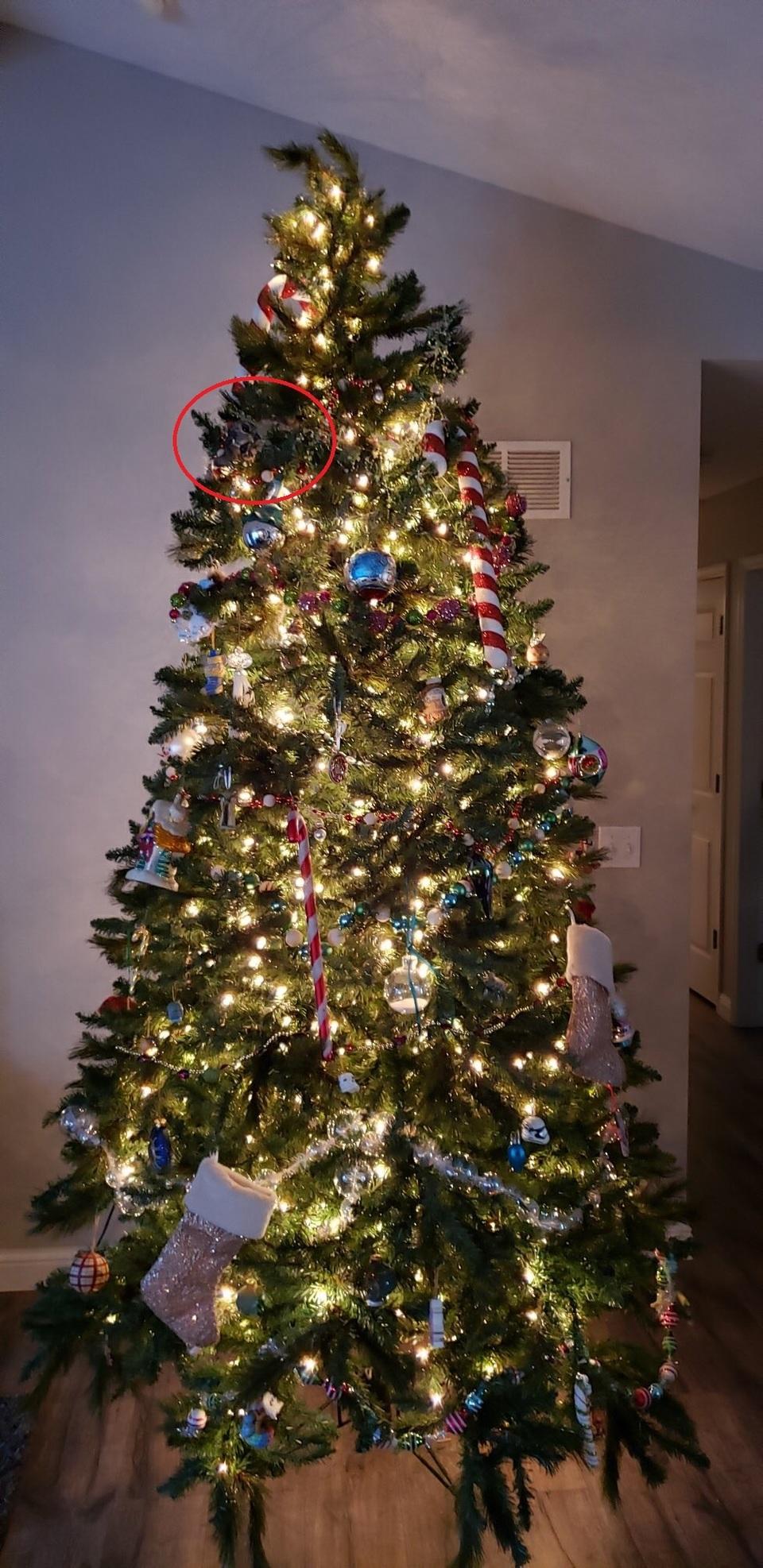 Uitați-vă bine la acest brad! Vedeți ce este în neregulă cu el? 569008