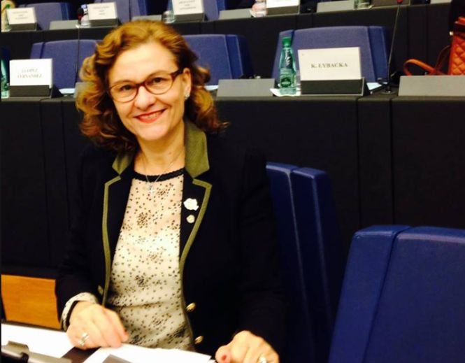 Maria Grapini: România, pregătită să preia preşedinţia Consiliului UE. Austria nu s-a remarcat cu nimic