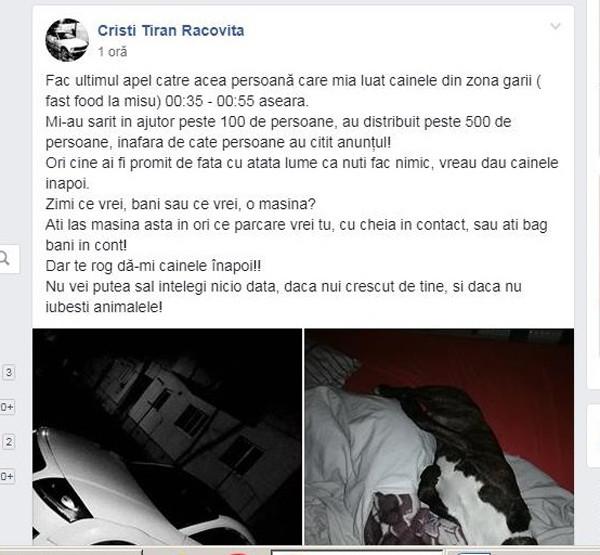 Și-a pierdut câinele la începutul anului, iar bărbatul din Bârlad ar da orice să-și găsească animalul iubit. Ce scoate la bătaie este de-a dreptul uluitor. Nu-l poți refuza!  570512