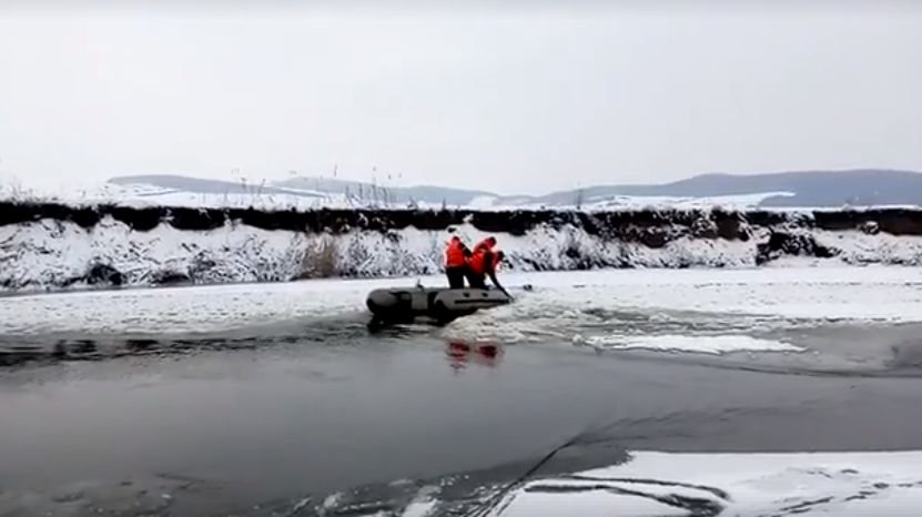 Pompierii din Cluj au salvat un cățel prins în gheață de pe râul Someș 
