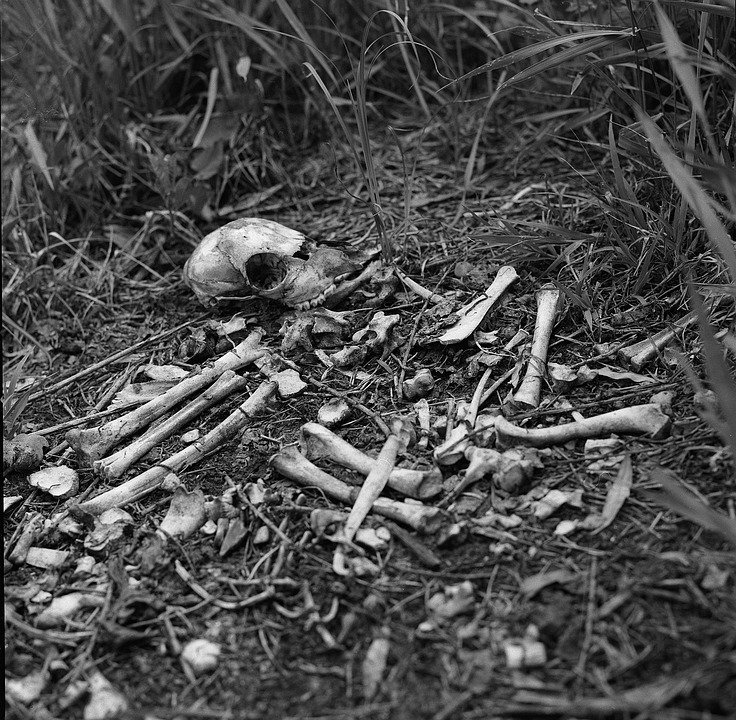 Zeci de copii decapitați, descoperiți la marginea unei localități britanice