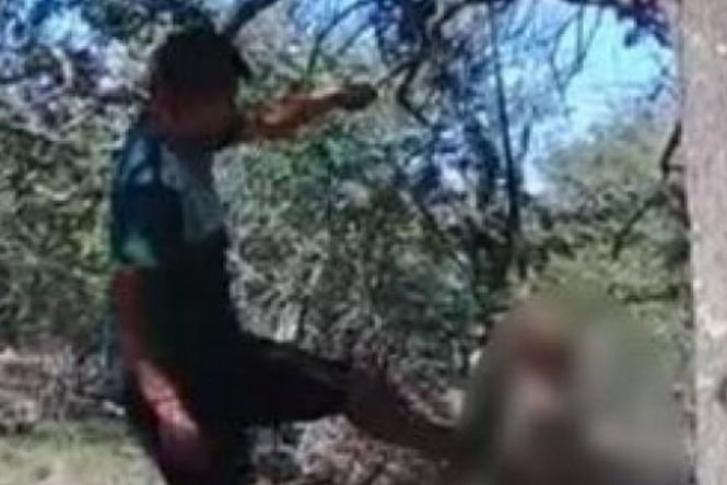 Un bărbat din Argentina și-a legat câinele de copac și l-a ucis cu bâta. Explicația lui este halucinantă 