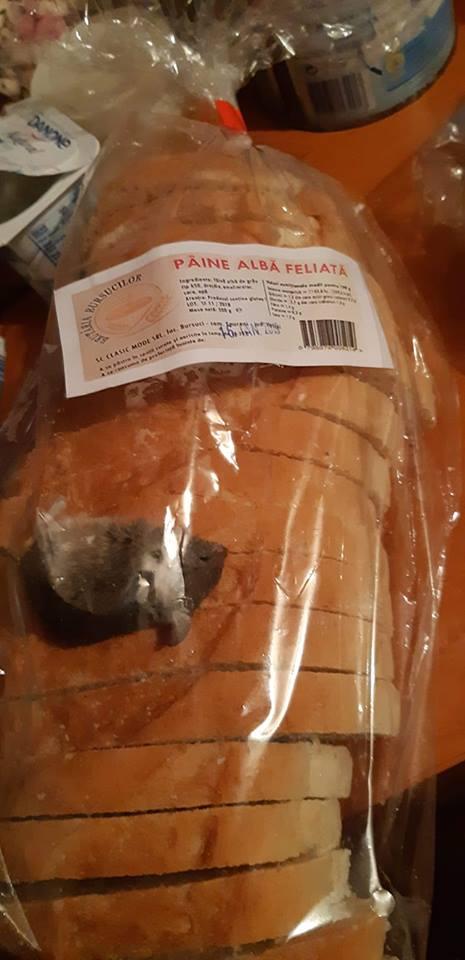 Bărbatul din județul Vaslui a cumpărat o pâine de la magazin. Când a ajuns acasă, a înlemnit când s-a uitat în pungă. „Cum este posibil așa ceva?” (FOTO) 571950