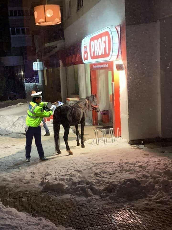 Doi tineri se duceau la cumpărături la un supermarket din orașul Buhuși, când au observat ceva de-a dreptul inedit în fața magazinului. Când și-au dat seama că nu este o farsă, și-au făcut o cruce mare. „Nu vezi așa ceva în fiecare zi, în România” 573720