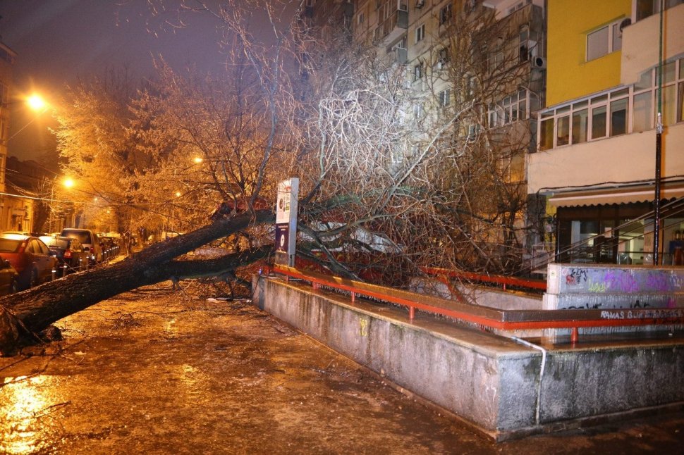 Ploaia îngheațată, dezastru în Capitală și Ilfov. Zeci de copaci căzuți, 50 de mașini avariate. Acces blocat la gura de metrou Stefan cel Mare