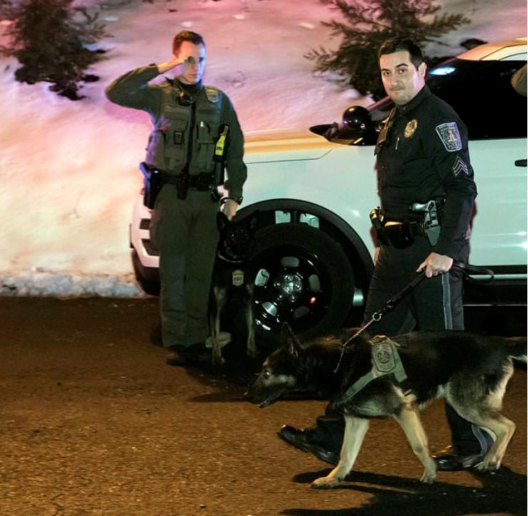 Un câine polițist erou, bolnav de cancer, a fost eutanasiat. 70 de polițiști s-au încolonat și l-au condus pe ultimul drum FOTO 574865