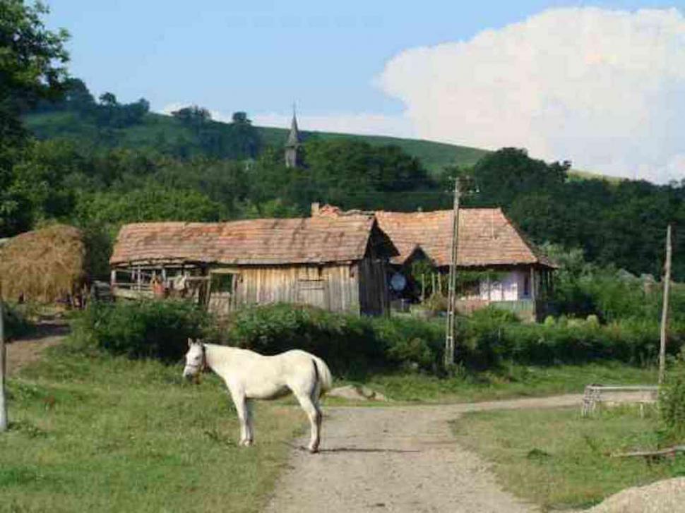 Satul din România decimat de un criminal necunoscut