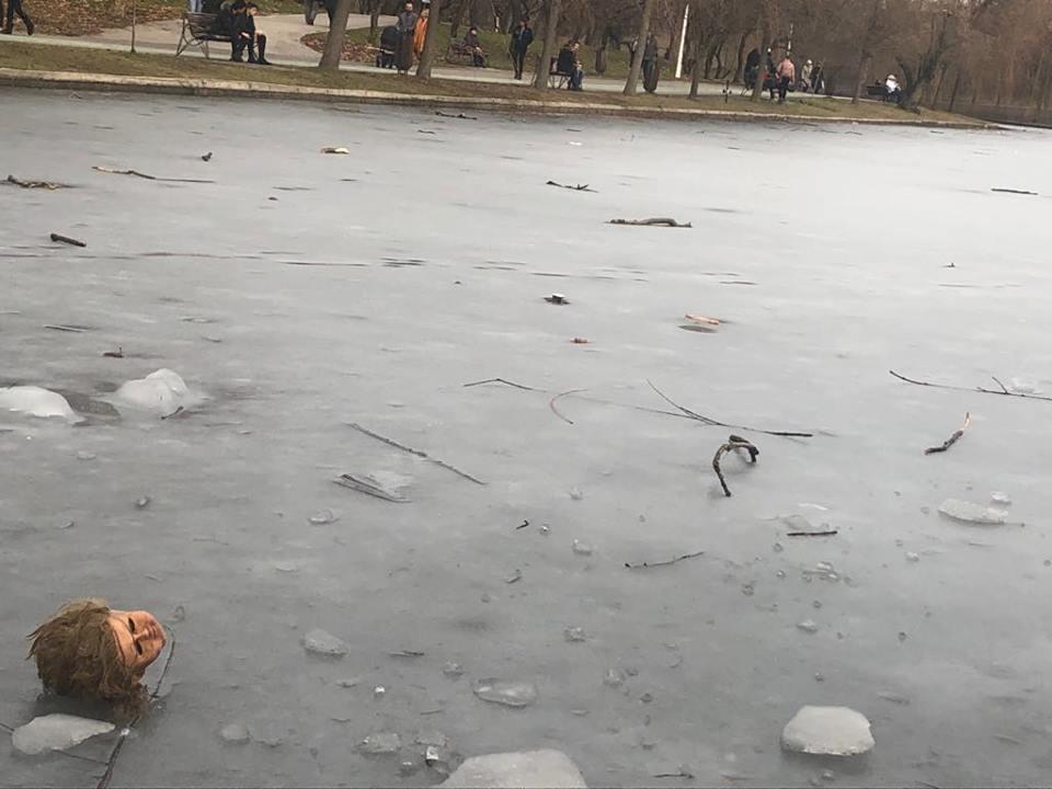 Andrei se plimba duminică, prin parcul IOR, când a zărit ceva macabru aproape de mal. "Dumnezeule, doar în filmele de groază mai vezi așa ceva!". A fotografiat imediat totul. FOTO 575575