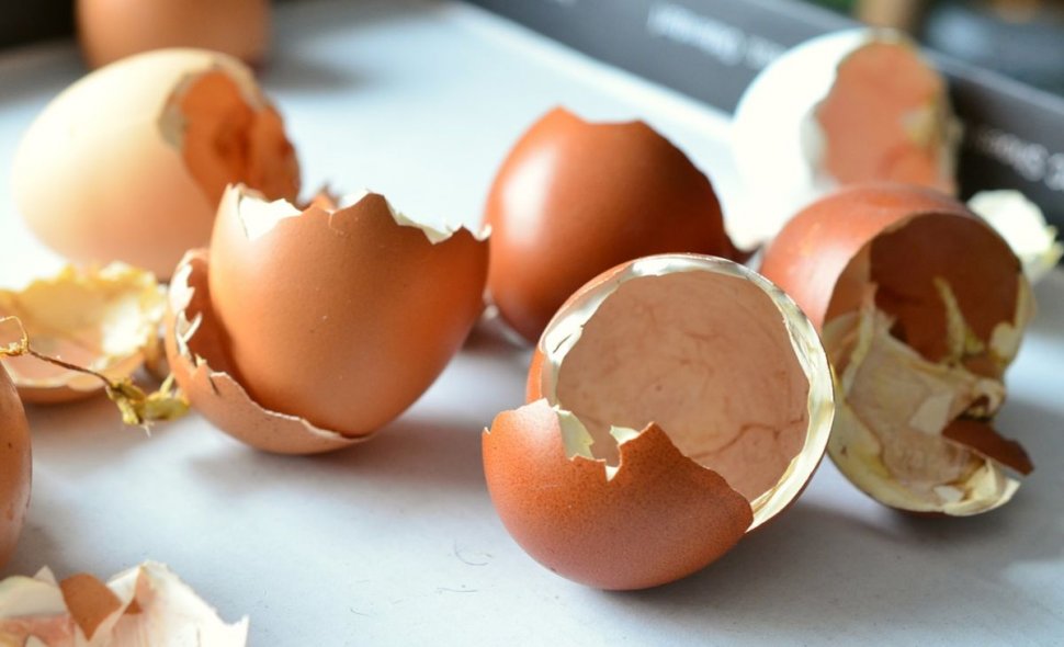 Nu mai aruncați cojile de ouă! Întrebuinţări la care nu te-ai fi gândit