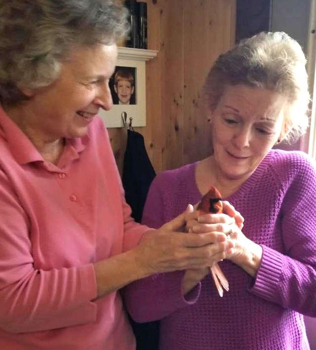 Vorbeau adesea cu mama lor să le trimită un semn când va muri, să le spună că este fericită. La scurt timp, după decesul femeii, ceva uluitor s-a întâmplat. „Este incredibil. A comunicat cu noi de dincolo de mormânt” (VIDEO) 576207