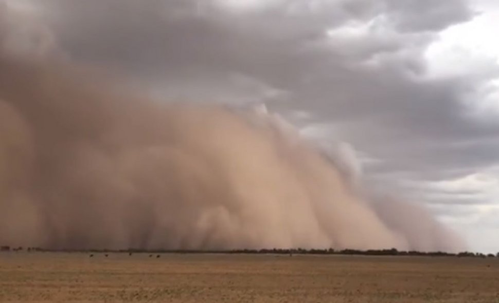 „A apărut de nicăieri!” Un nor de praf a înghițit un orășel - VIDEO