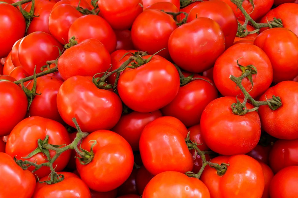Agricool. Tomatele roșii conțin licopen
