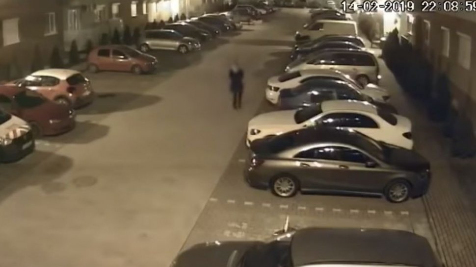 Era aproape de miezul nopții și era singură pe stradă în Oradea. La un moment dat, a intrat în prima mașină pe care a văzut-o și a făcut asta. Proprietarei nu i-a venit să creadă când a văzut imaginile - VIDEO