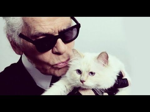 Karl Lagerfeld și-a făcut pisica moștenitoare: I-a lăsat o avere