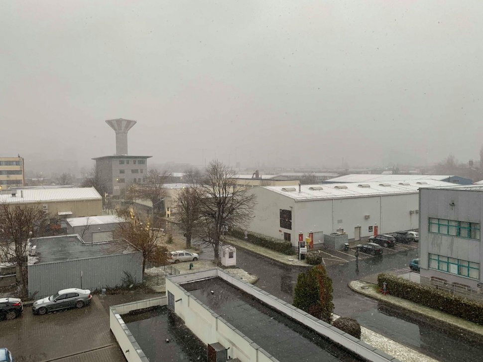 Ninge în București. Capitala a intrat sub cod galben de vânt puternic