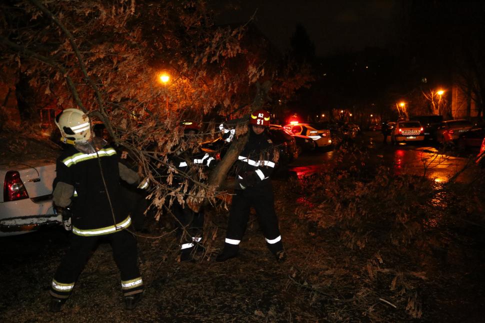 Vremea a făcut ravagii în București. Tramvaie blocate şi copaci căzuţi pe maşini, din cauza vântului - FOTO 579497