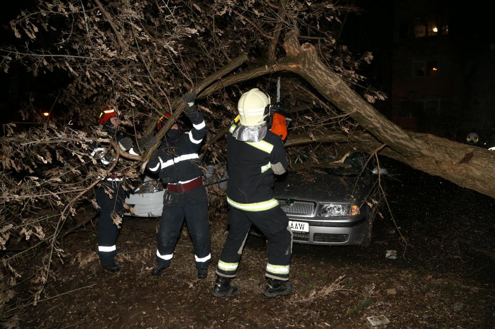 Vremea a făcut ravagii în București. Tramvaie blocate şi copaci căzuţi pe maşini, din cauza vântului - FOTO 579499