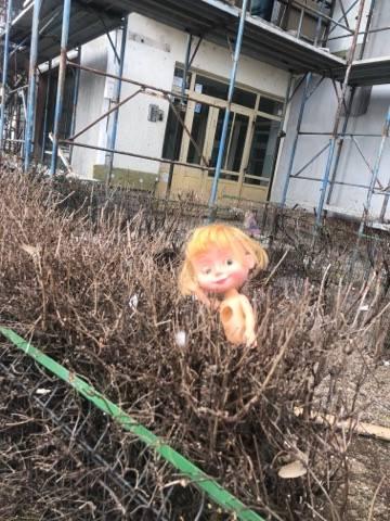 Ioana ieșise dintr-un bloc din sectorul 3 al Capitalei în această dimineață și se îndrepta spre muncă. Când s-a uitat în fugă spre grădină a încremenit preț de câteva clipe. „Mi-a stat inima în loc!” (FOTO) 579981