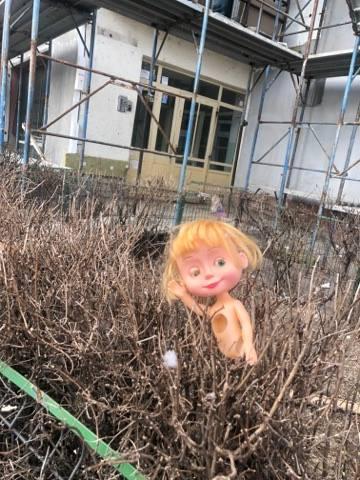 Ioana ieșise dintr-un bloc din sectorul 3 al Capitalei în această dimineață și se îndrepta spre muncă. Când s-a uitat în fugă spre grădină a încremenit preț de câteva clipe. „Mi-a stat inima în loc!” (FOTO) 579982