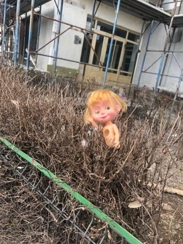 Ioana ieșise dintr-un bloc din sectorul 3 al Capitalei în această dimineață și se îndrepta spre muncă. Când s-a uitat în fugă spre grădină a încremenit preț de câteva clipe. „Mi-a stat inima în loc!” (FOTO) 579984