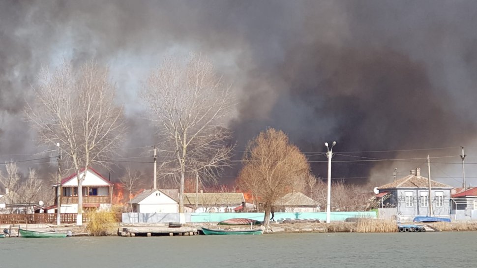 Incendiu de proporții în Delta Dunării. Sute de hectare au luat foc