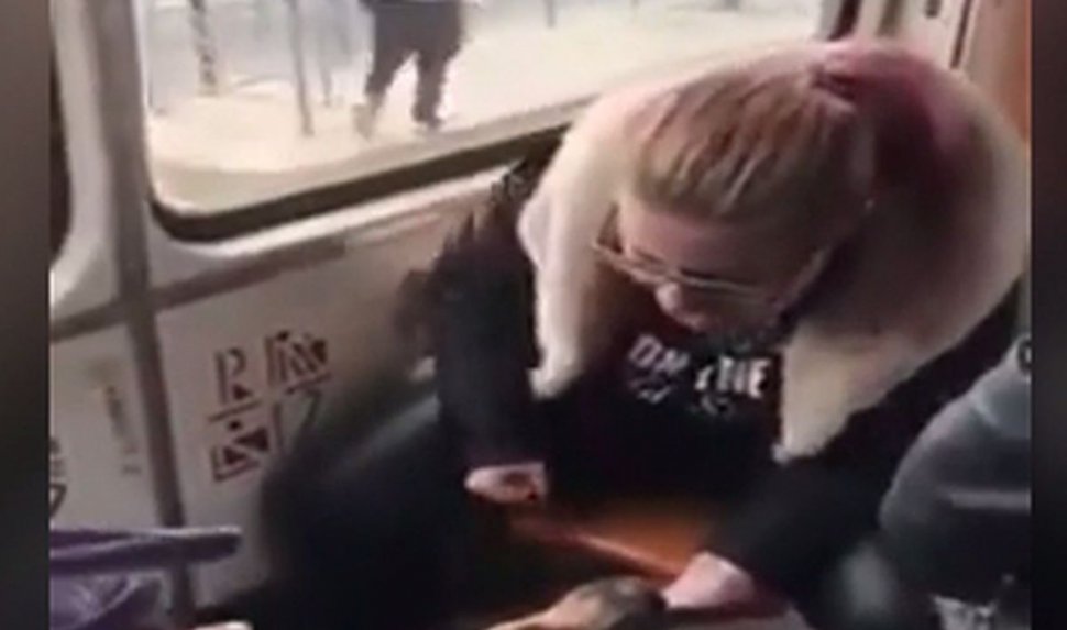 Câine bătut fără milă într-un tramvai din Capitală. Stăpâna și-a vărsat nervii pe bietul animal 