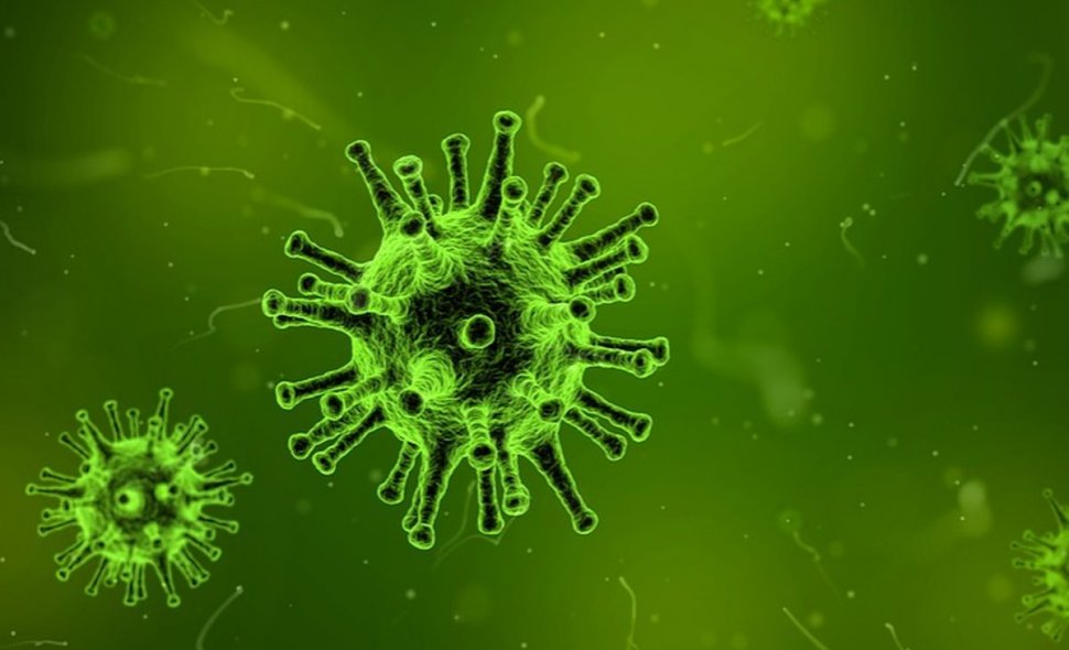 Avertisment al OMS: O nouă pandemie de gripă este inevitabilă. Lumea trebuie să se pregătească!