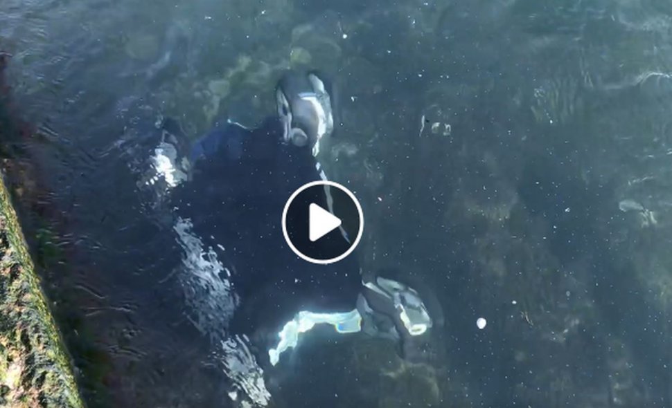Un copil aflat în căruţ a fost aruncat în Marea Neagră de vântul puternic - VIDEO