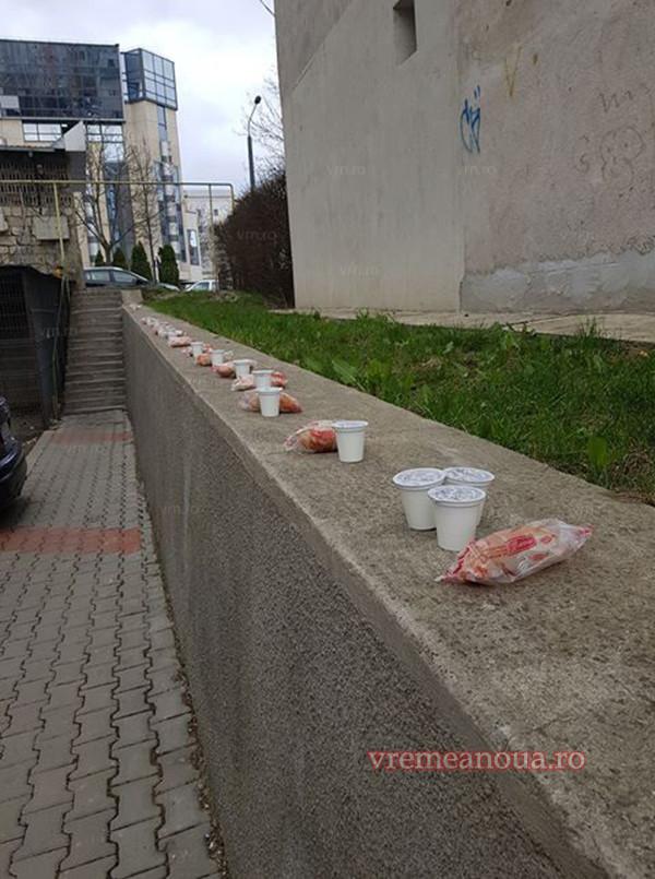 Mergea pe o stradă din Vaslui, când a văzut ceva incredibil pe bordură. „Îți dau lacrimile nu alta” (FOTO) 584286