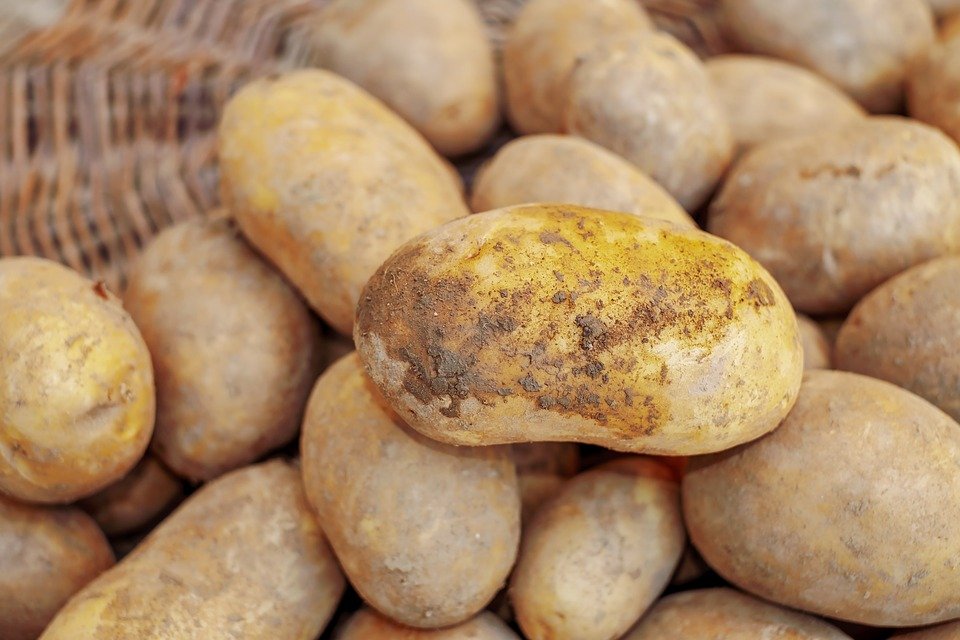 Cartofii românești au început să devină un lux. De ce sunt pe cale de dispariție din piețe și din marile magazine