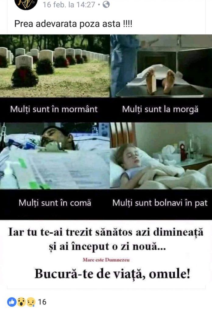  El este Gicu, tânărul de 16 din Sibiu, care a murit aseară într-un accident cumplit. Într-un mod bizar, Gicu vorbea întruna despre moarteFOTO 584663