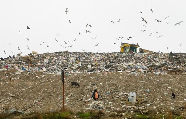 Fără precedent: infracțiuni grave de înșelăciune și corupție în scopul redeschiderii periculoasei gropi de gunoi Glina 584902