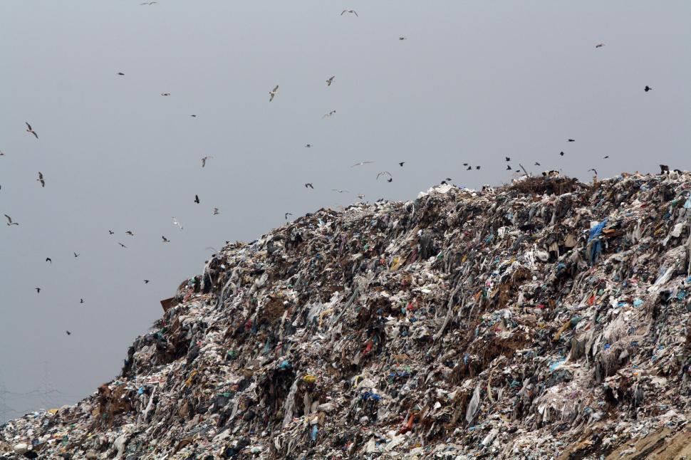 Fără precedent: infracțiuni grave de înșelăciune și corupție în scopul redeschiderii periculoasei gropi de gunoi Glina 584903