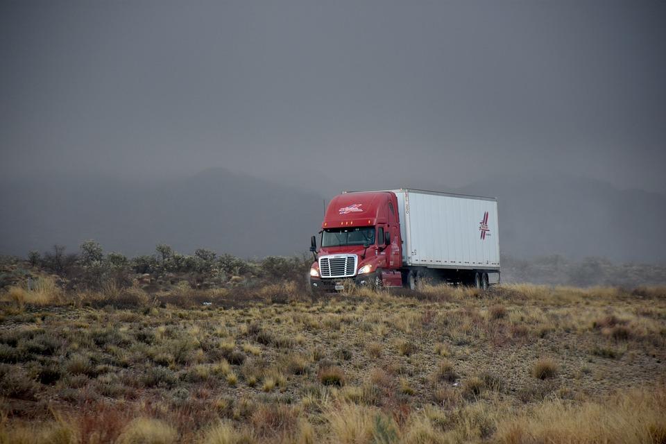 Mihai e șofer în Anglia. Ce au descoperit autoritățiile în camionul condus de el. Este de necrezut