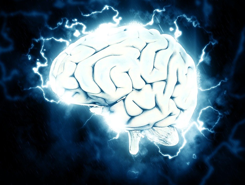 Studiu: Creierul are nevoie de o capacitate de stocare echivalentă cu 1,5 MB pentru a stăpâni limba maternă