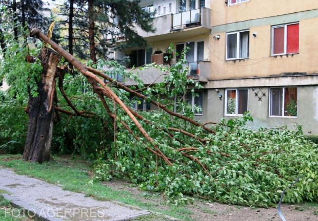 Alertă METEO. Fenomene periculoase în localităţi din Timiş şi Caraş-Severin. Se întâmplă până la ora 18:00