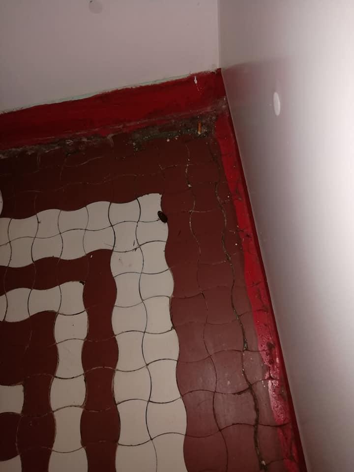 Maria e internată cu copilul ei într-un spital mare din România. Aseară, își culcase micuțul și voia să așeze și ea în pat, când a văzut ceva oribil pe pernă: "Am așteptat să se dea jos ca să-l pot omorî. Mi-e scârbă!" 586319