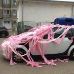 Un șofer din județul Gorj a avut parte de o surpriză neplăcută, când a ajuns în parcare. „Era peste tot!” (FOTO) 586418