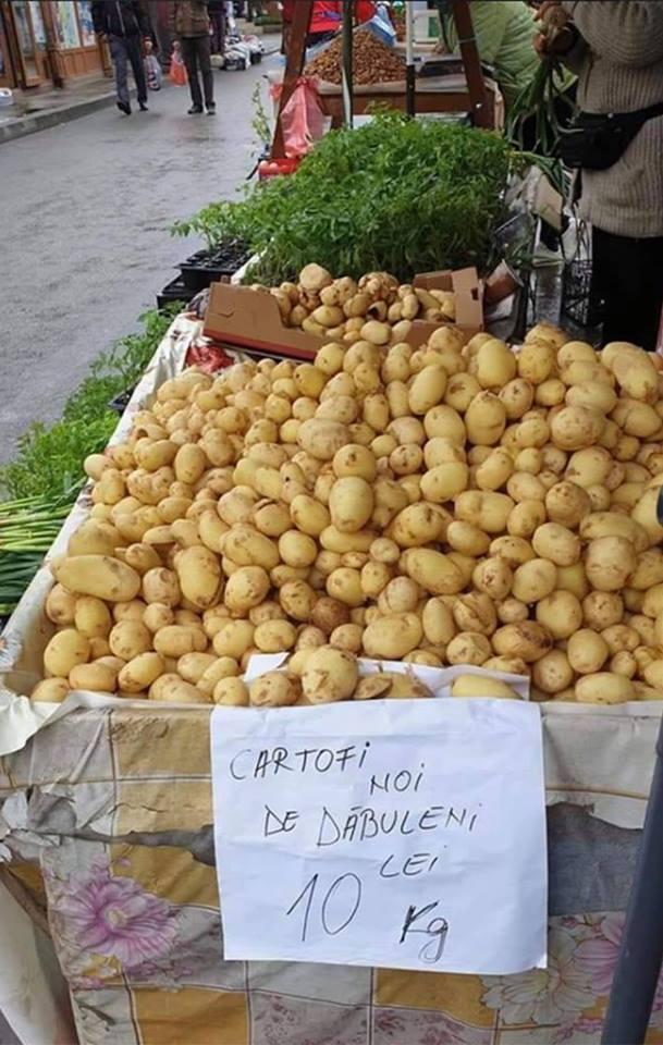 Primii cartofi românești au ajuns în piețe. E incredibil cât a ajuns să coste un kilogram - FOTO 588315