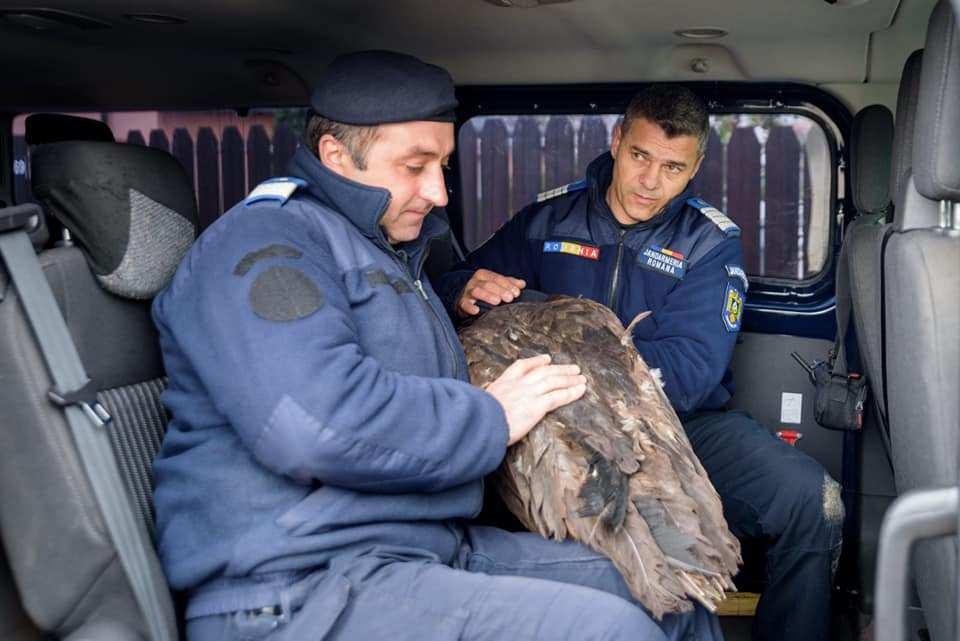 Un bărbat din Vrancea era în curtea casei sale, când a văzut ceva ce l-a uluit. A pus mâna pe telefon și a sunat de urgență la 112 (FOTO) 588931