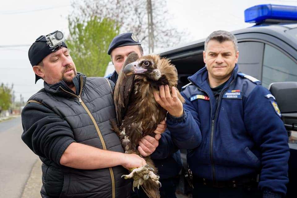 Un bărbat din Vrancea era în curtea casei sale, când a văzut ceva ce l-a uluit. A pus mâna pe telefon și a sunat de urgență la 112 (FOTO) 588932