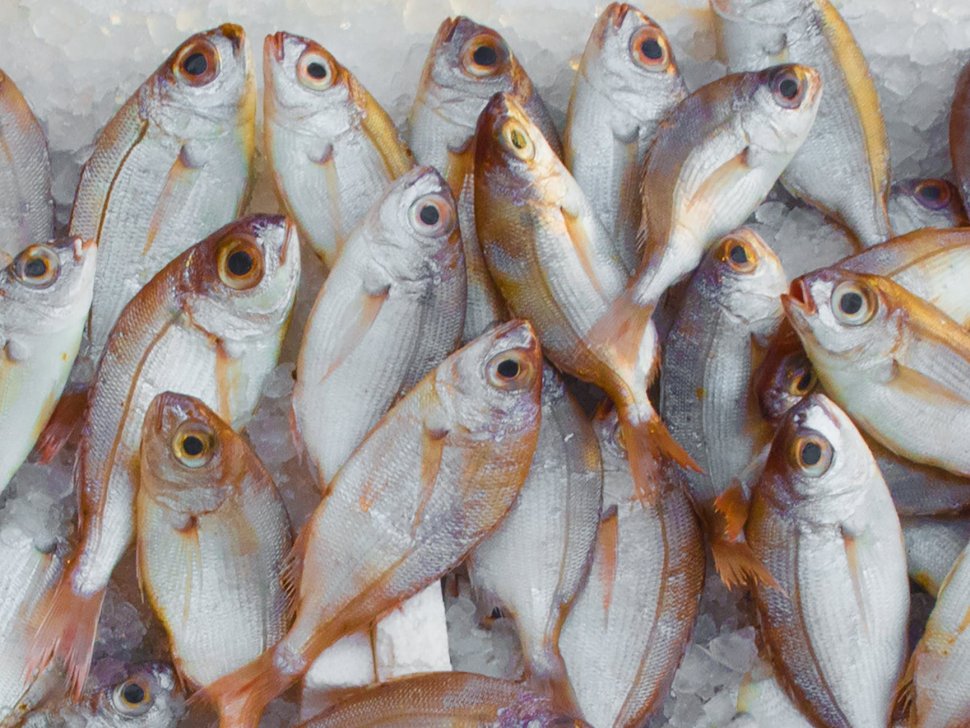 FLORII, obiceiuri și tradiții. De ce se mănâncă pește pe 21 aprilie