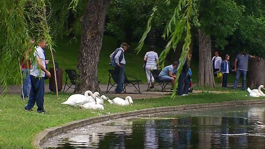 Bucureştenii vor putea avea internet gratuit în parc