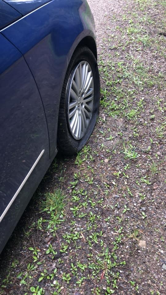 Un ministru din Guvernul Dăncilă a rămas blocat într-o pădure din Suceava 591581