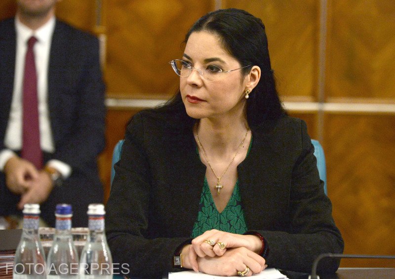 Ana Birchall, ministrul interimar al Justiției: Începem procedurile pentru extrădarea lui Radu Mazăre