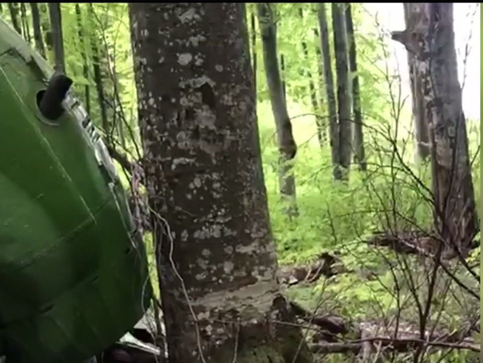 Descoperire șocantă într-o pădure din România. Un cioban a alertat autoritățile când a văzut dezastrul