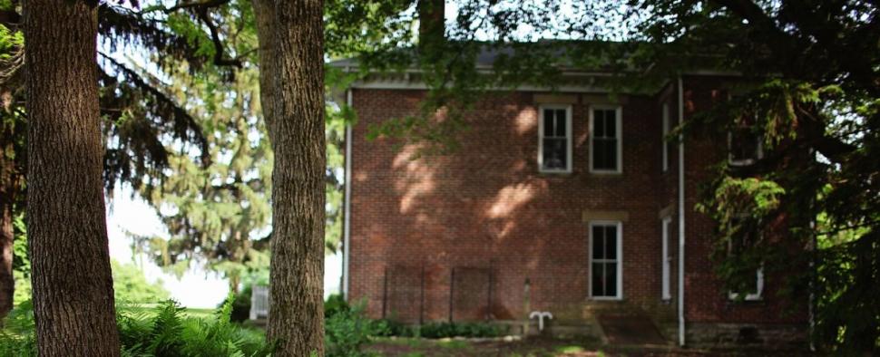 Descoperirea șocantă făcută de o tânără în curtea casei. ”Nu am mai văzut vreodată așa ceva” (FOTO) 593582