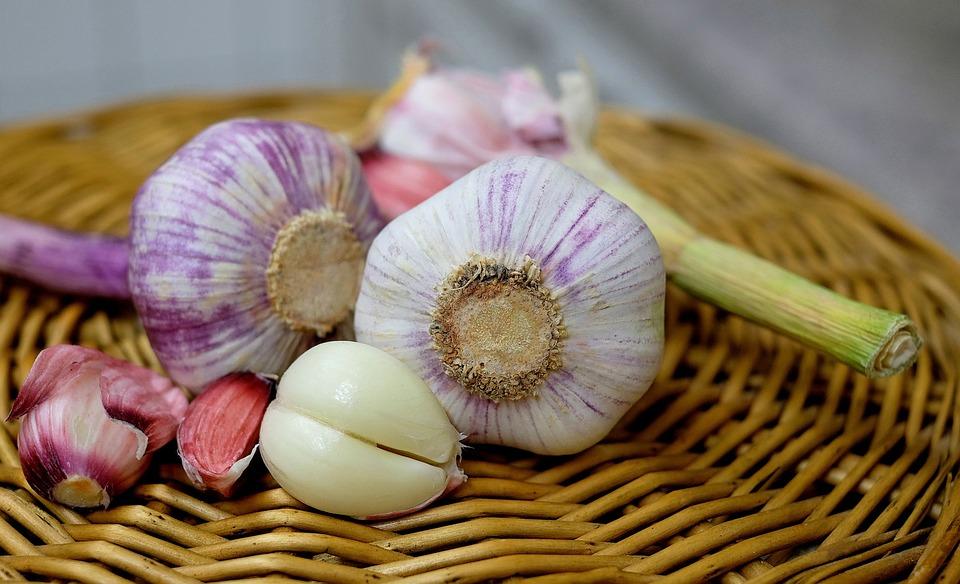 Guvernul Dăncilă triplează sprijinul pentru fermierii care cultivă usturoi: 3.000 de euro pe hectar