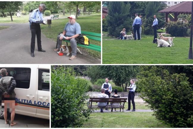 Șoferii din Arad au fost la un pas de accident, când au văzut ce se întâmpla chiar în fața lor. Era ziua în amiaza-mare (FOTO) 593682